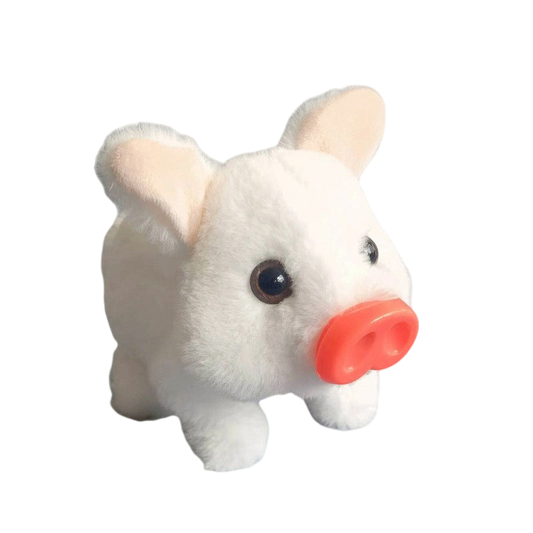 Graddi™ PiggyPal