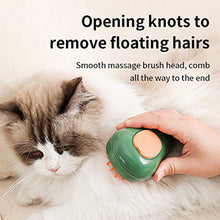 Load image into Gallery viewer, 3 in 1 Cat Steamy Brush for Massage, Clean and Removing Loose Hair