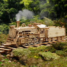 Load image into Gallery viewer, 🔥EARLY SUMMER HOT SALE 48% OFF🔥 - SUPER WOODEN MECHANICAL MODEL PUZZLE SET