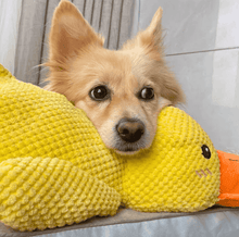 Load image into Gallery viewer, Grishay Calm Duck