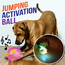 Load image into Gallery viewer, PetsBoro⢠Pet Ball Endless Entertainment for Your Furry Friend!
