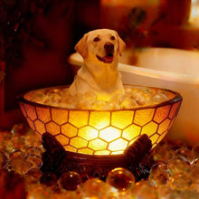 Load image into Gallery viewer, Graddi Paws &amp; Honey
