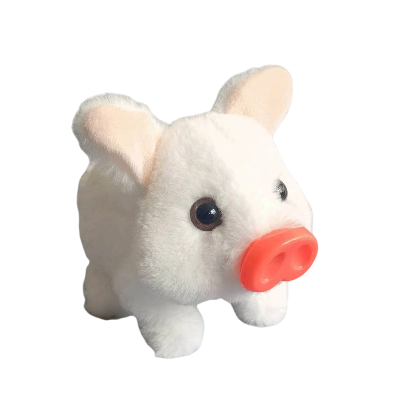 Graddi™ PiggyPal