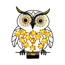 Load image into Gallery viewer, Graddi Midnight Guardians
