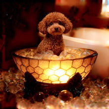 Load image into Gallery viewer, Graddi Paws &amp; Honey
