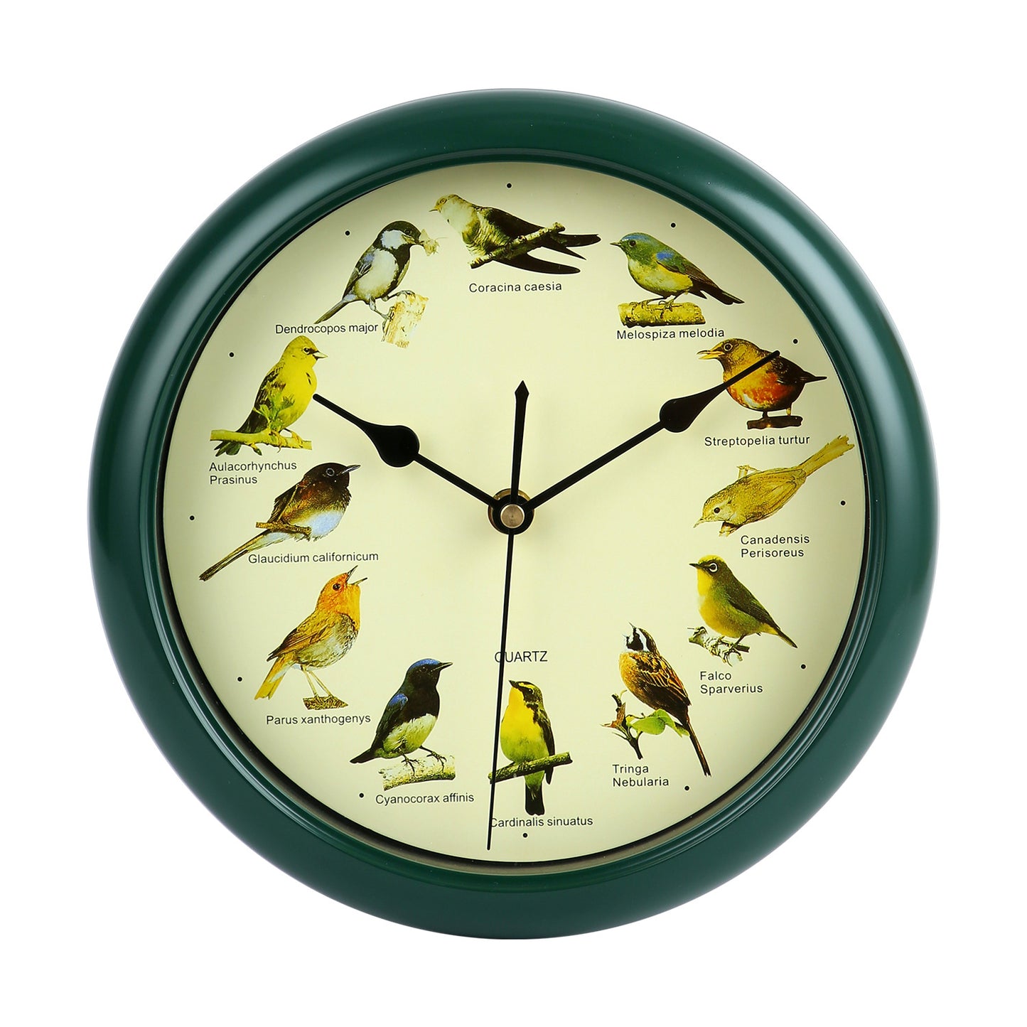 Grishay™ Birdsong Timepiece