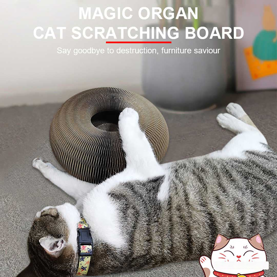 PetsBoro Magic Organ Cat Scratch Board